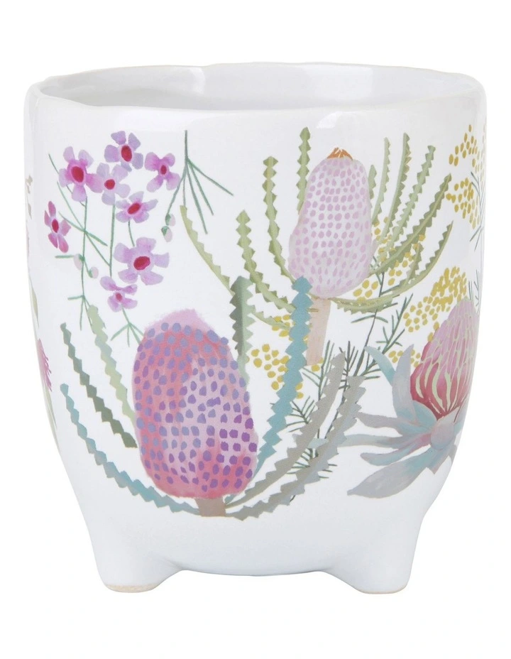 Royal Botanic Gardens Native Blooms Plant Pot 10cm in Multi