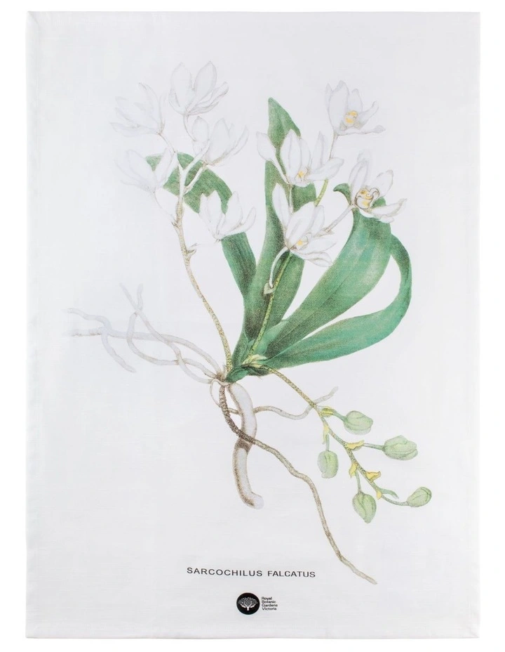 Australian Orchids Tea Towel 50x70cm in White
