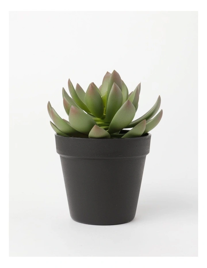 Echeveria Succulent Artificial Plant 16x16x19cm in Green