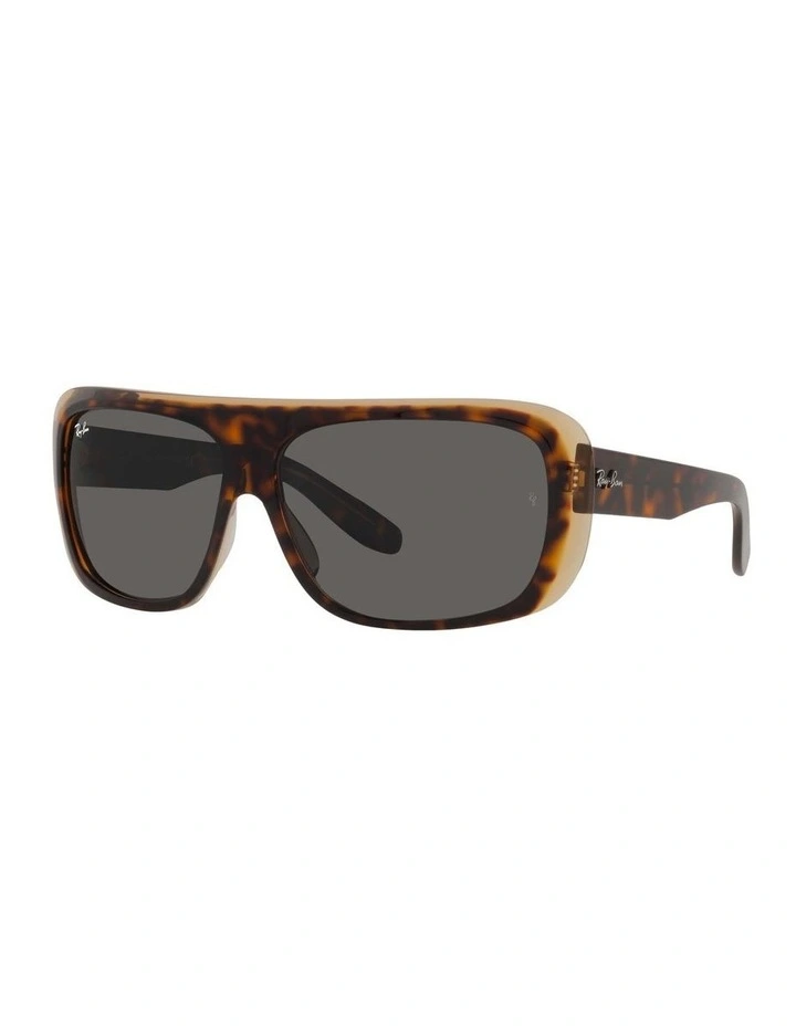 Blair Brown RB2196 Sunglasses