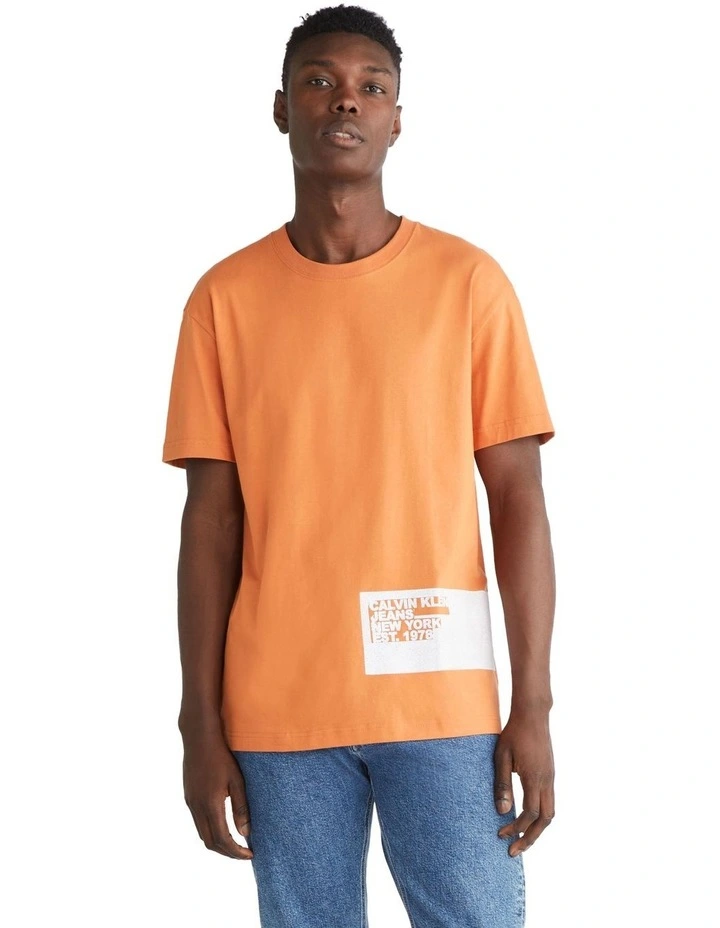 Stencil Blocking Logo Tee in Burnt Clay