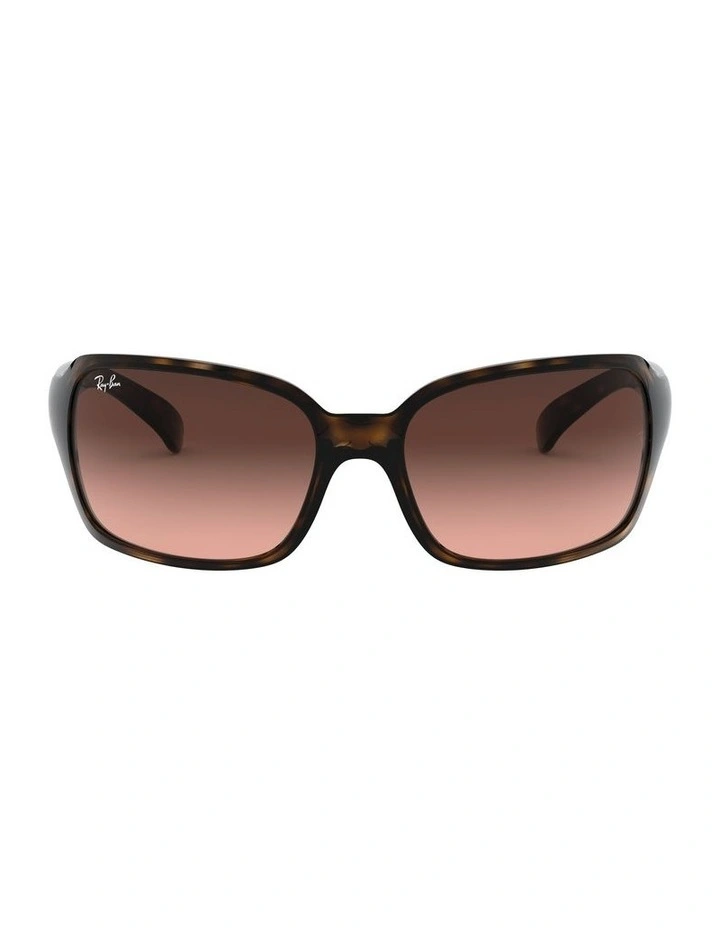 RB4068 Brown Sunglasses