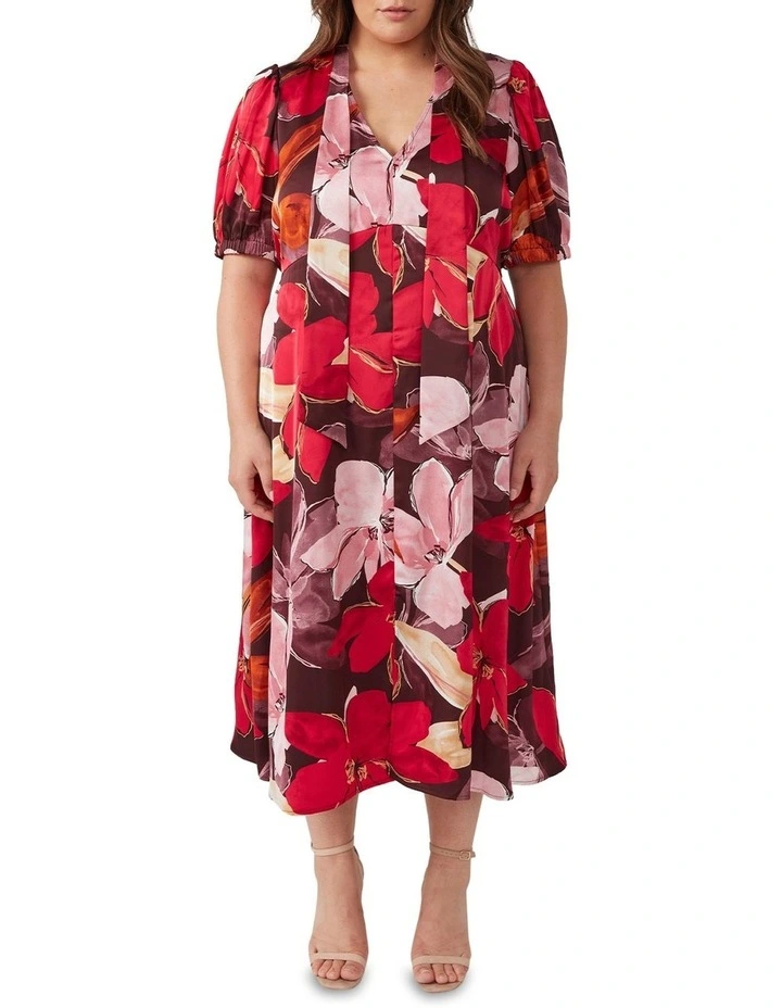 Scarlett Dress in Multi
