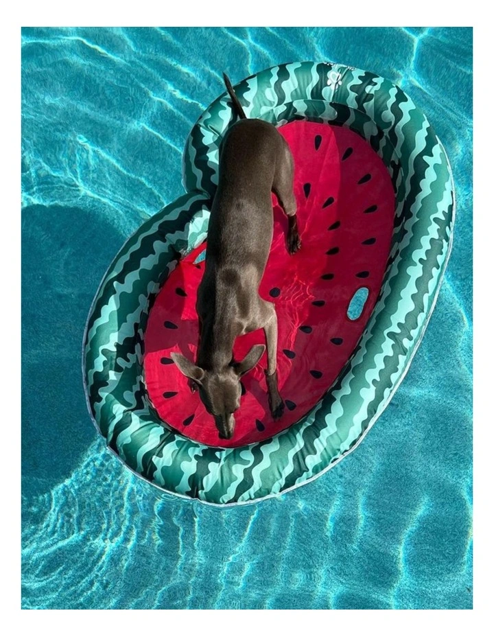Watermelon Pet Floatie in Two Tone