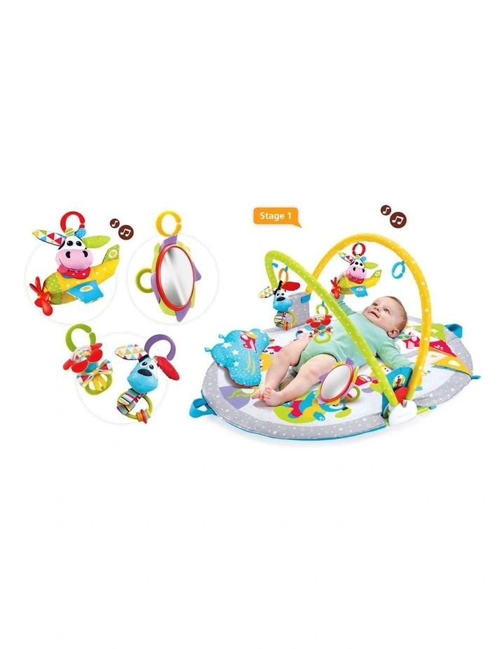 Gymotion Lay to Sit-Up Play