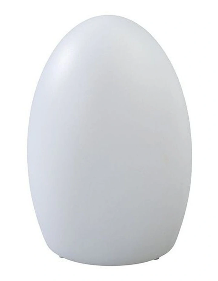 LED Egg Lamp