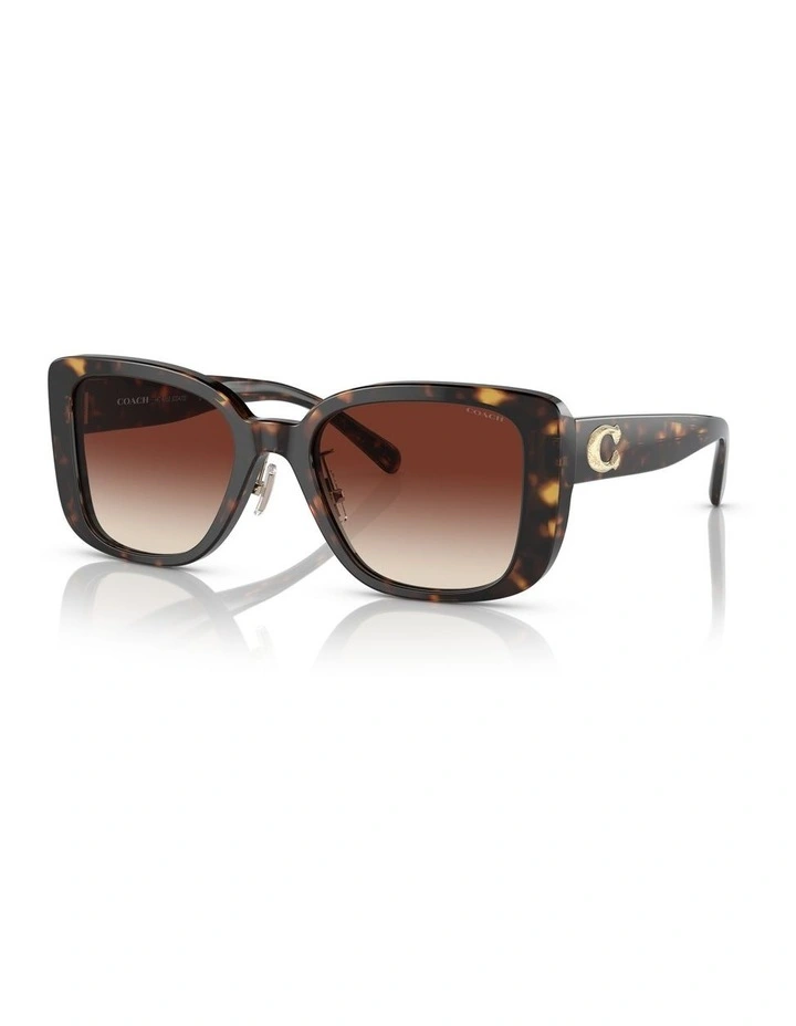 CD472 Sunglasses in Dark Tortoise