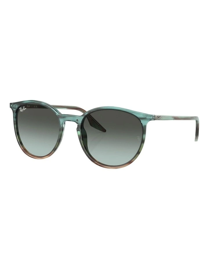 RB2204 Sunglasses in Multicolor