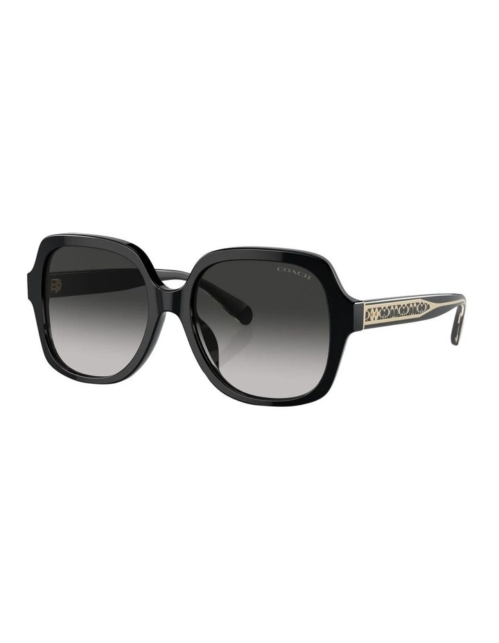 CR614 Sunglasses in Black