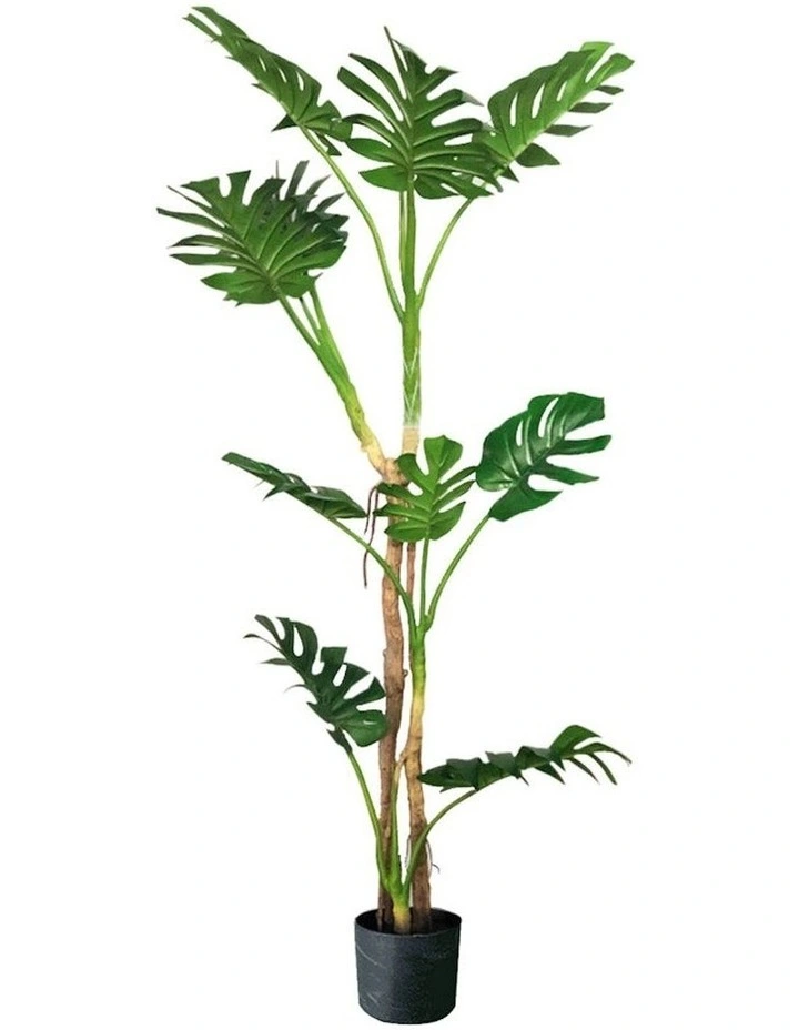 Potted Turtle Back Fern Artificial Plant 175cm in Multi