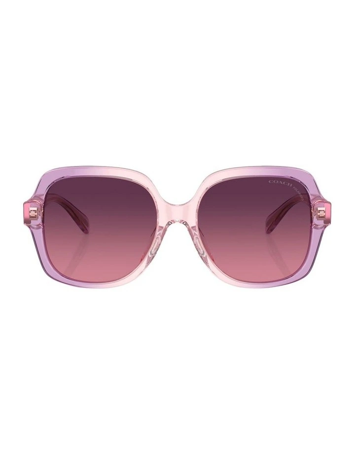 CR614 Polarised Sunglasses in Violet