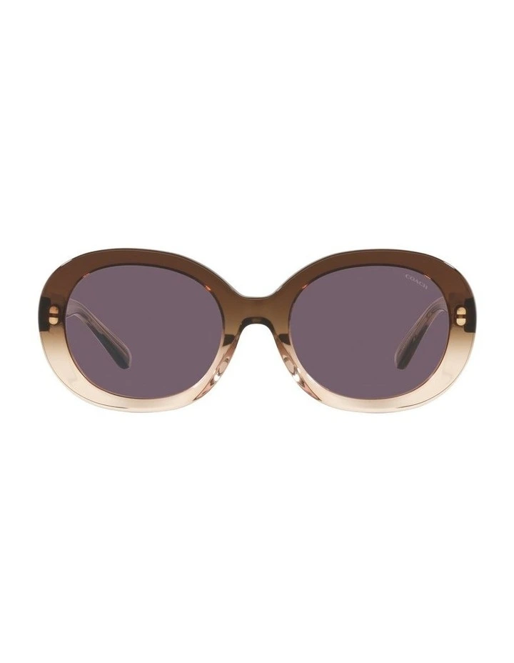 HC8337U C7992 Beige Sunglasses