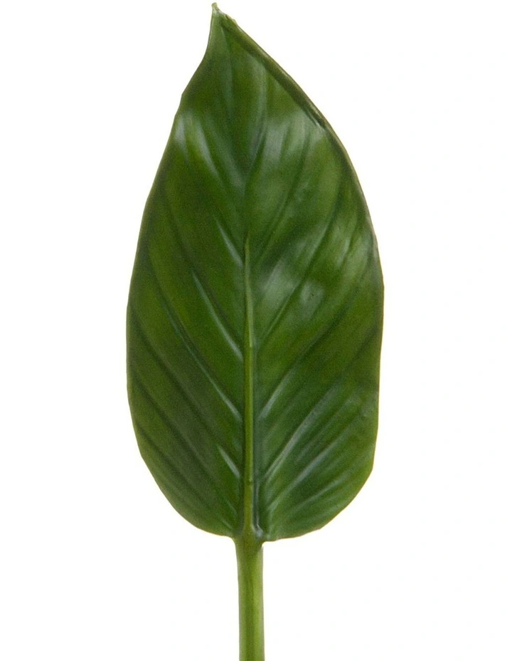 Colocasia Leaf 48cm in Green