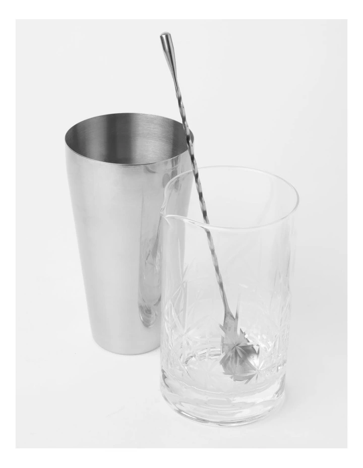 Refresh Cocktail and Glass Shaker Set in Silver