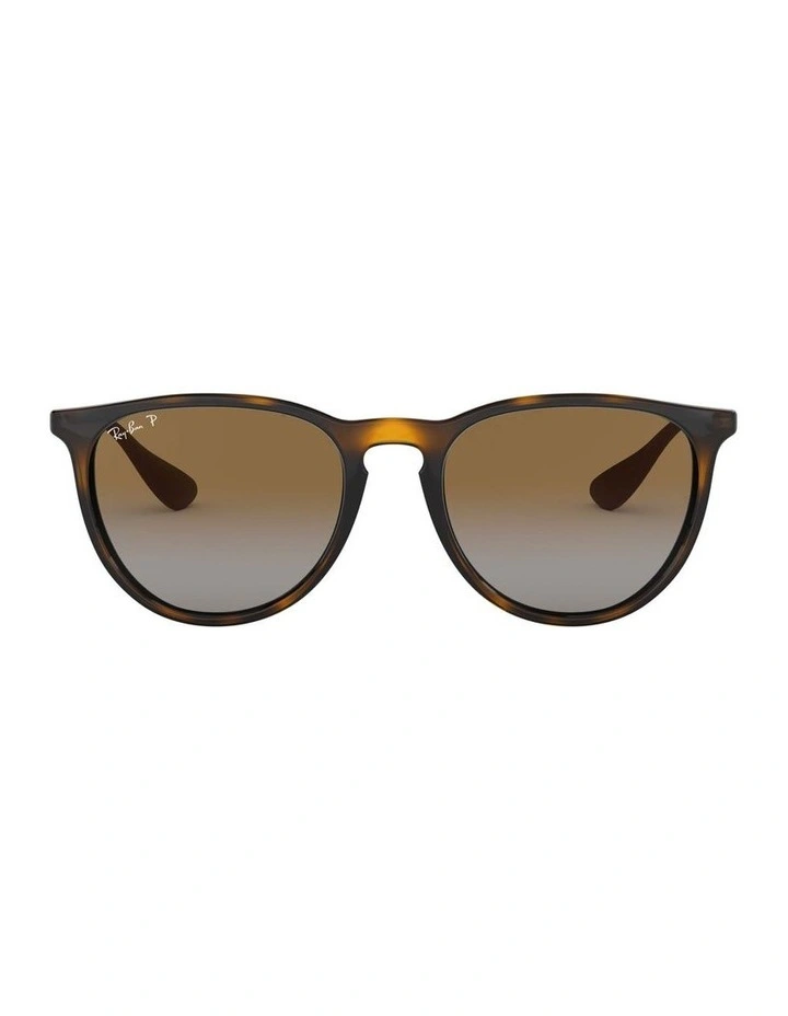 Erika Brown RB4171 Polarised Sunglasses