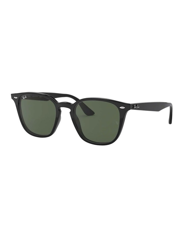 RB4258 Black Sunglasses