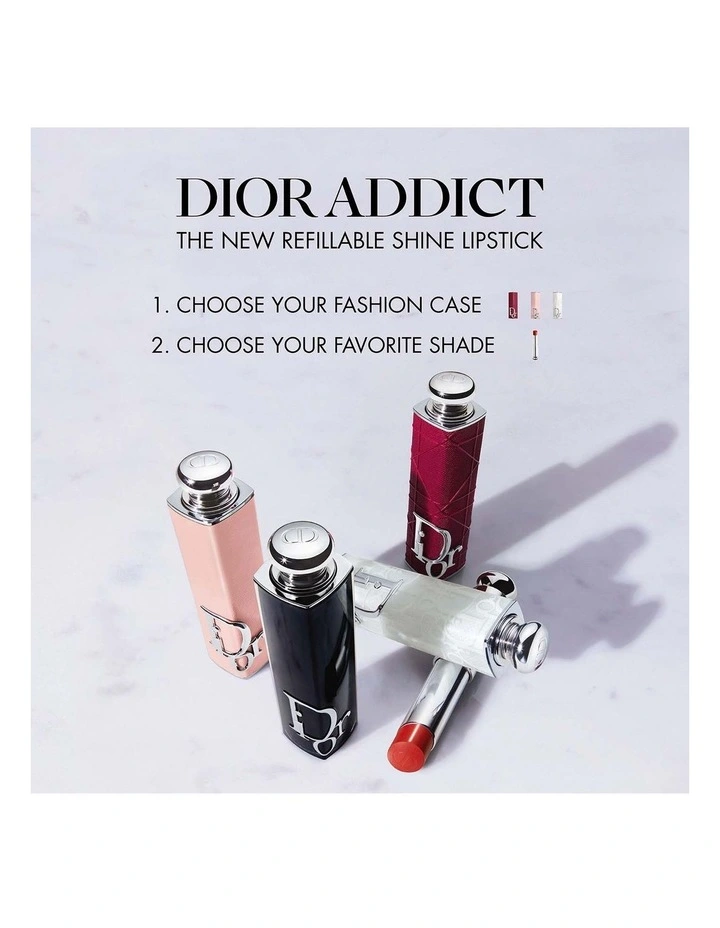 Dior Addict Lipstick Fashion Case