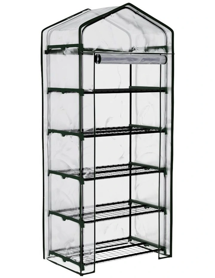 Mini Greenhouse Garden Shed in Transparent