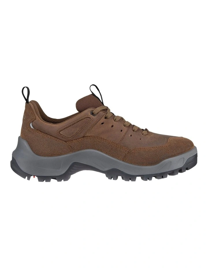 Offroad Sneaker in Brown