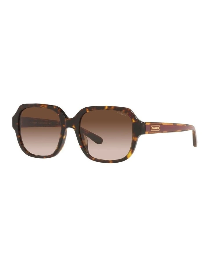 HC8335U C7989 Tortoise Sunglasses