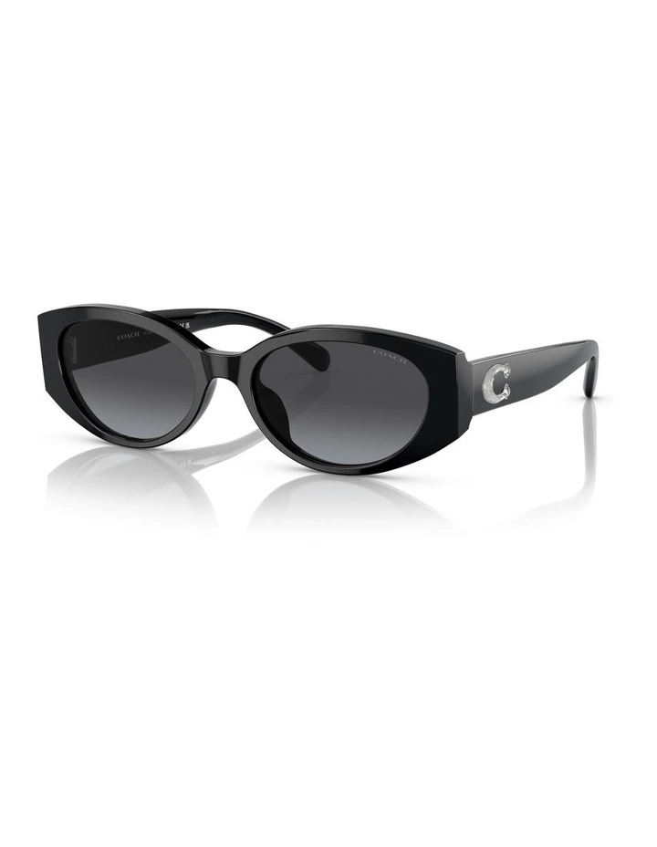 CD473 Sunglasses in Black