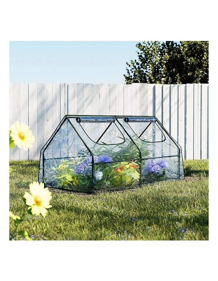Greenhouse Flower Garden Shed in Transparent