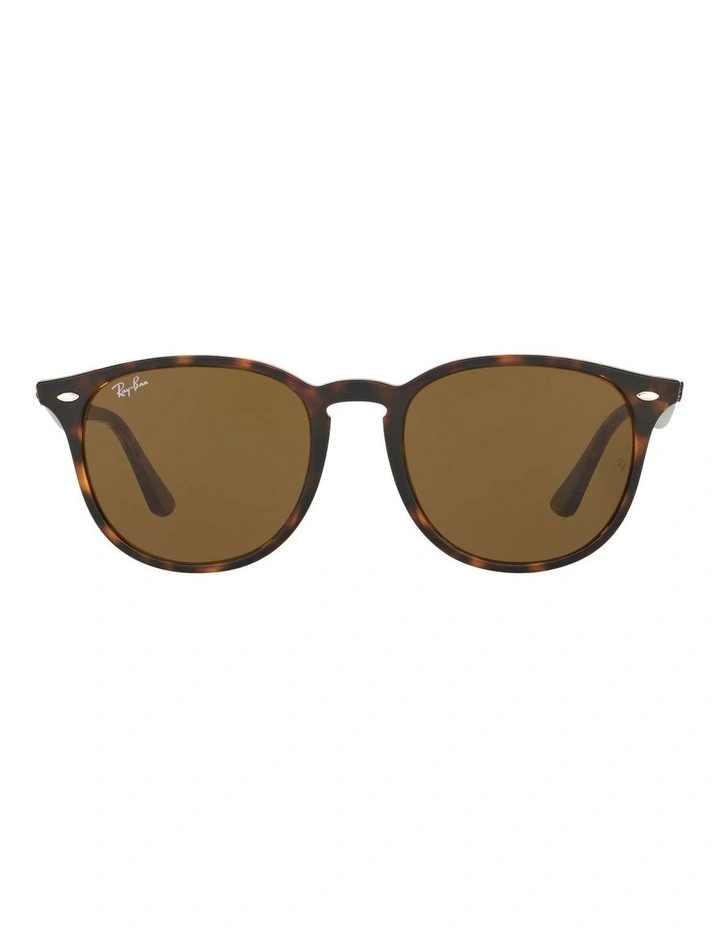 Brown RB4259F Sunglasses