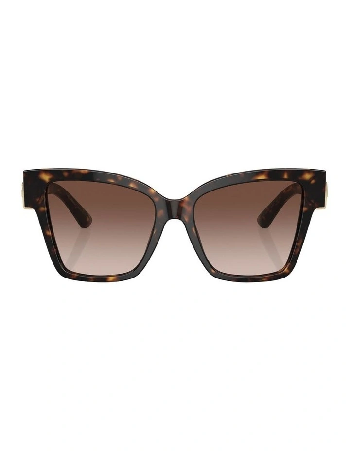 Sunglasses DG4470 in Tortoise