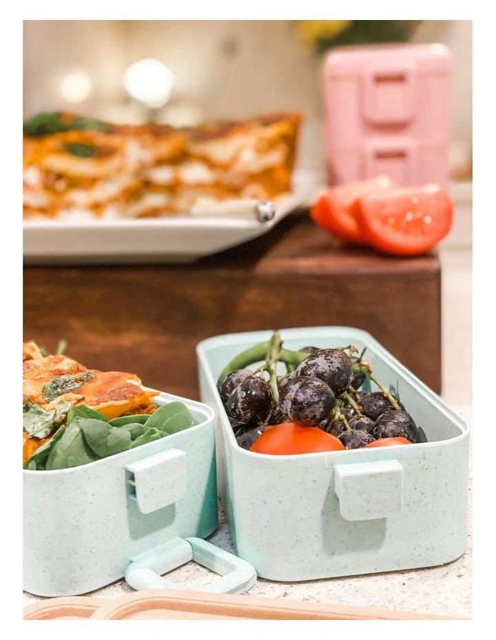 3 Pack Bento Boxes Large 2 Tiered