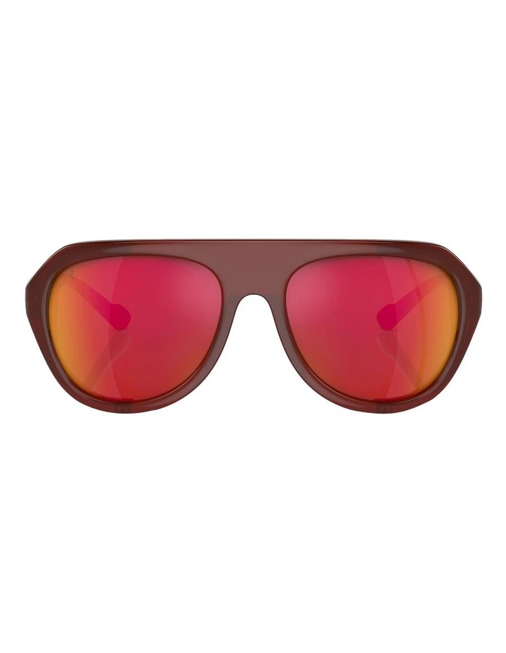 FH2002QU Polarised Sunglasses in Brown