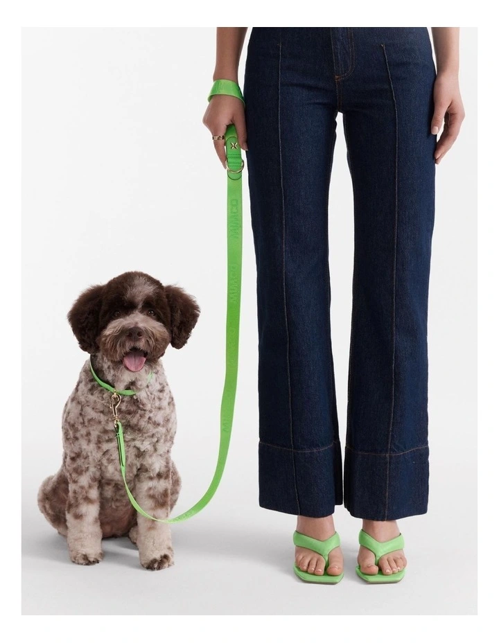 Pooch Lead in Spiced Apple