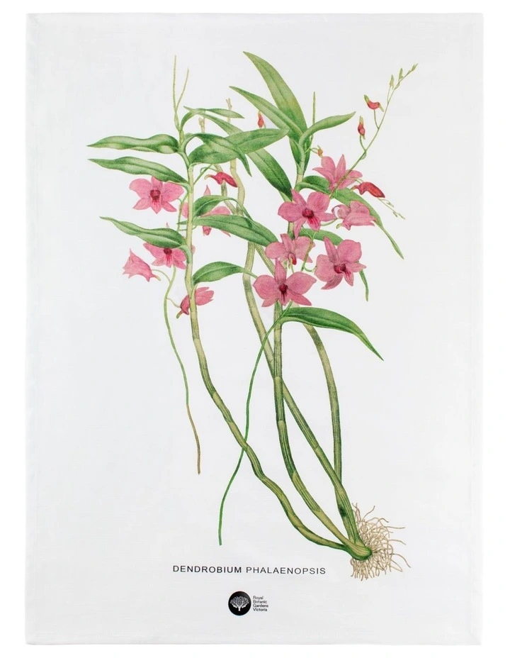 Australian Orchids Tea Towel 50x70cm in Pink