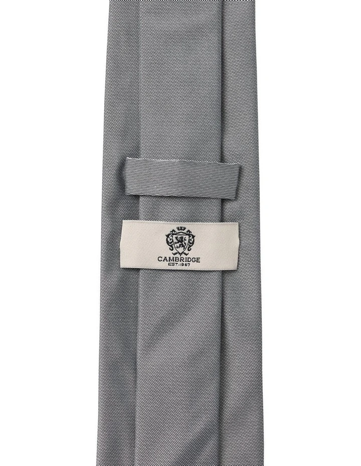 Formal Silk Tie in Pewter