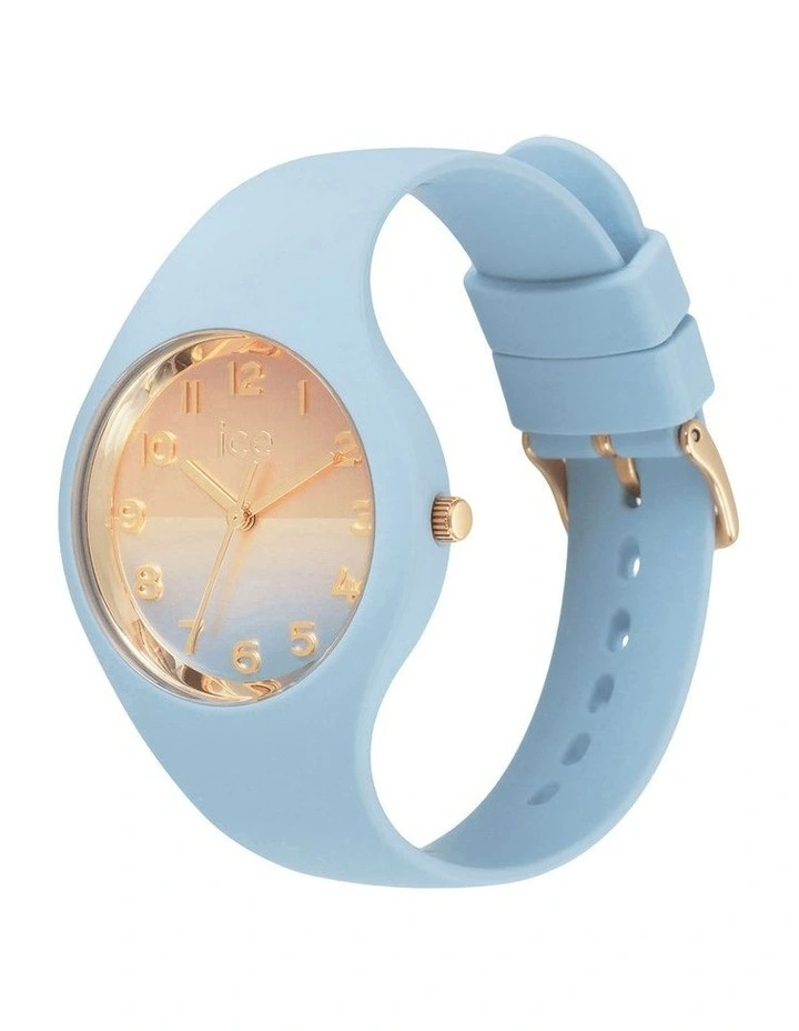 Horizon Watch in Blue/Gold