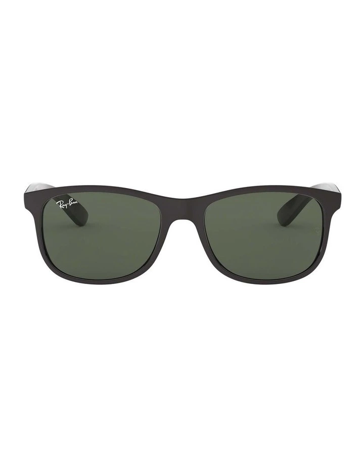 Andy Black RB4202 Sunglasses