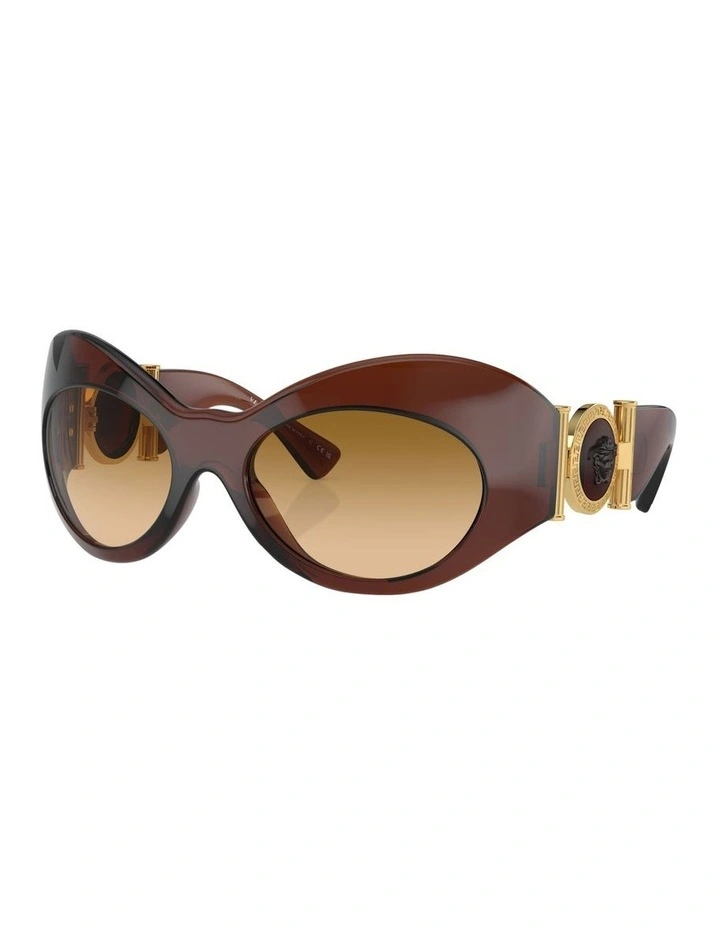 VE4462 Sunglasses in Brown
