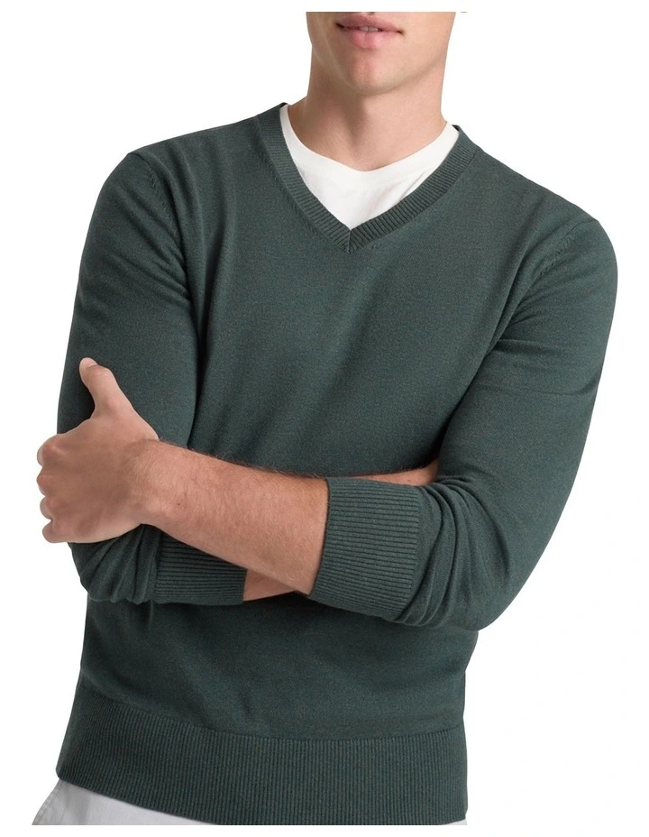 Asher Cotton Cashmere Vee Knit in Seamoss