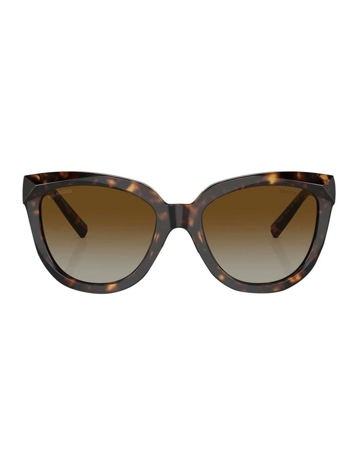 TF4215F Polarised Sunglasses in Brown