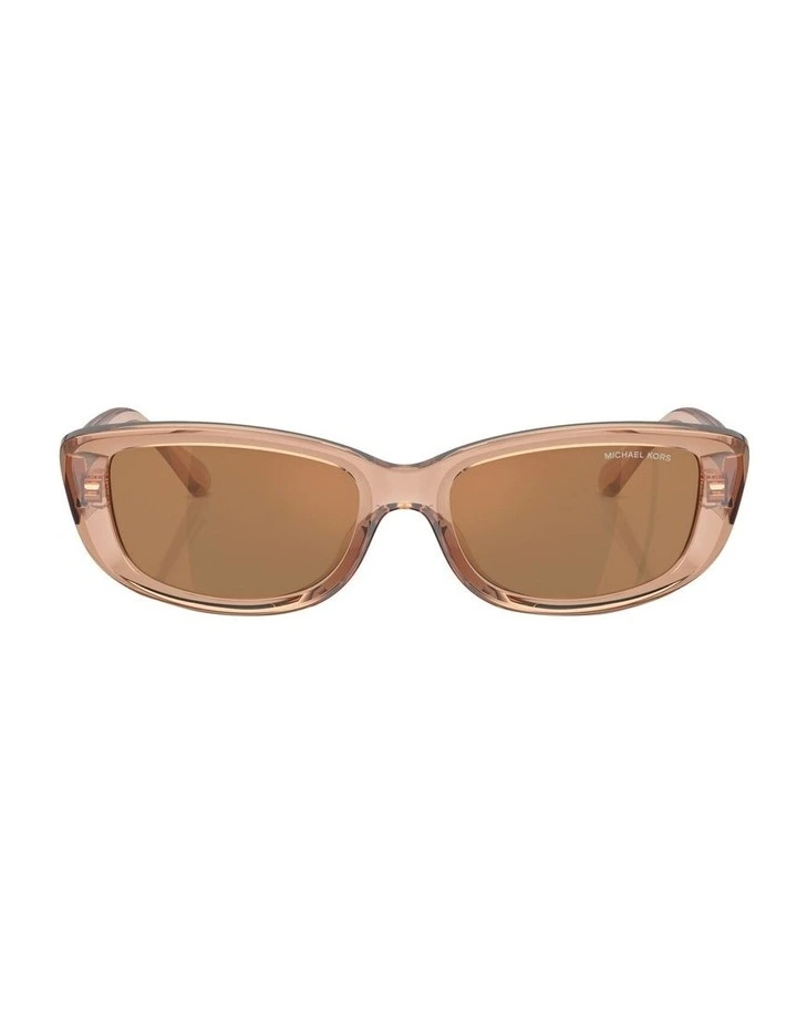 Asheville Sunglasses in Brown