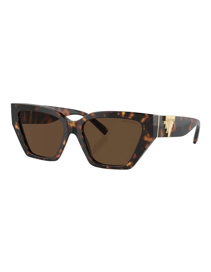 TF4218 Sunglasses in Tortoise
