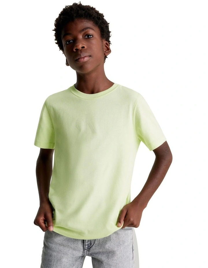 Jersey Relaxed Short Sleeve T-shirt in Exotic Mint
