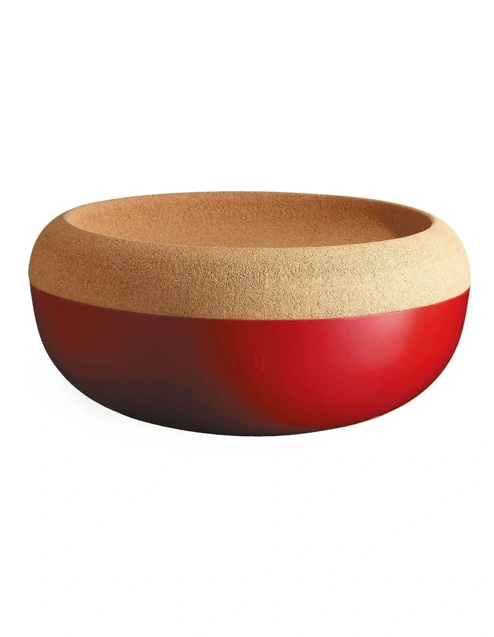 Conservation Storage Bowl Large in Burgundy