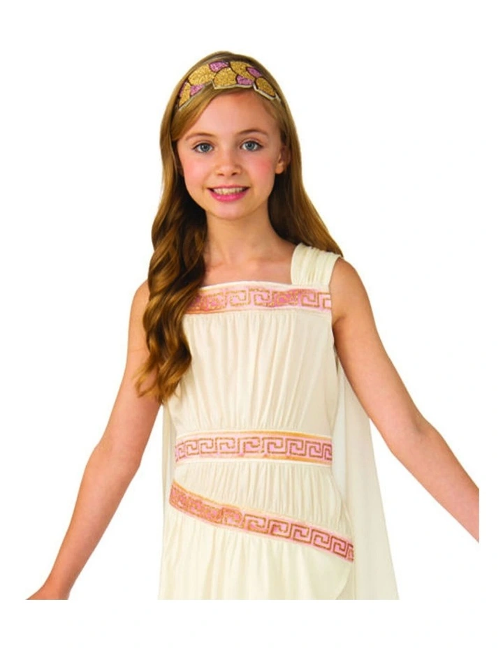 Roman Goddess Costume