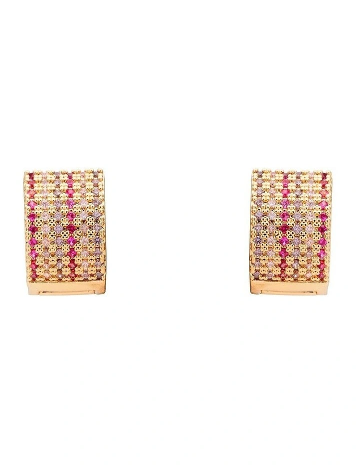 Coloured Stone Hoop Earring in Pink