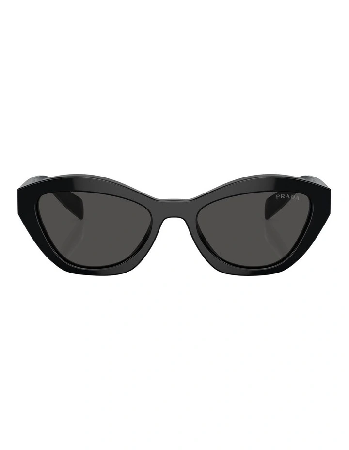 PR A02S Sunglasses in Black