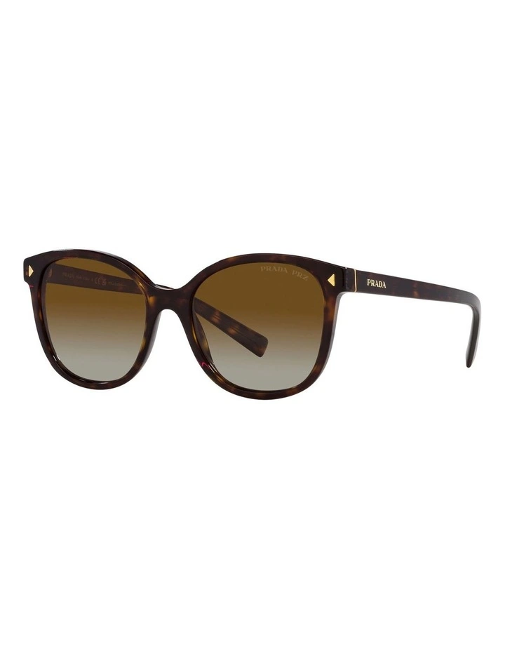 Polarised PR22ZSF Sunglasses in Tortoise
