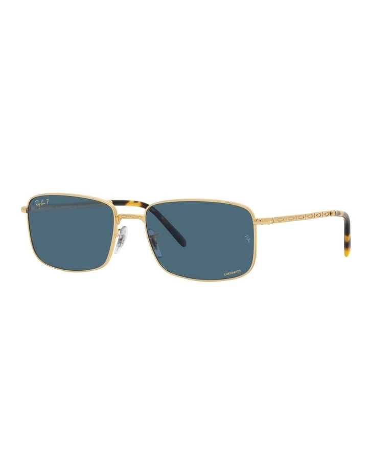 RB3717 Polarised Sunglasses in Gold