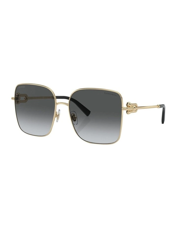 Polarised TF3094 Sunglasses in Gold