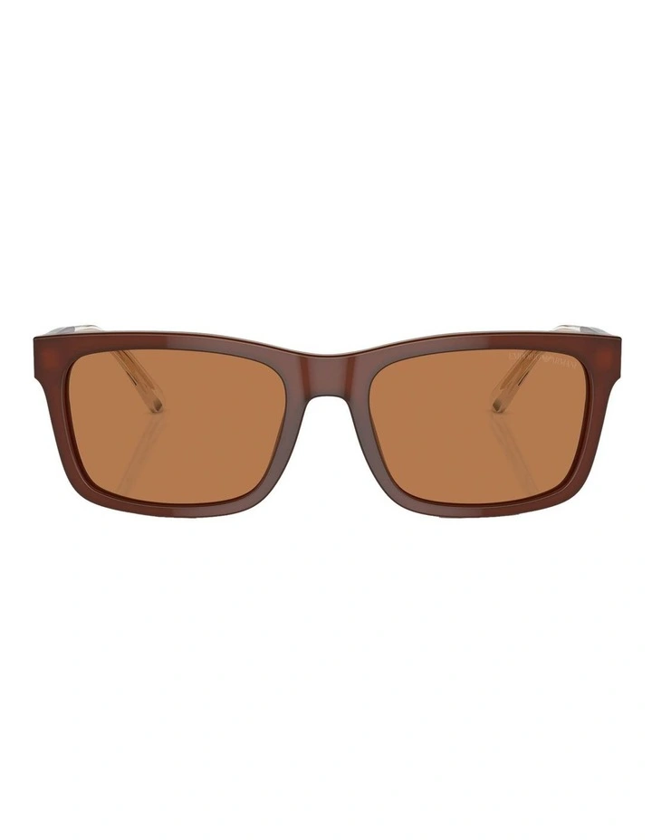 EA4224 Sunglasses in Brown
