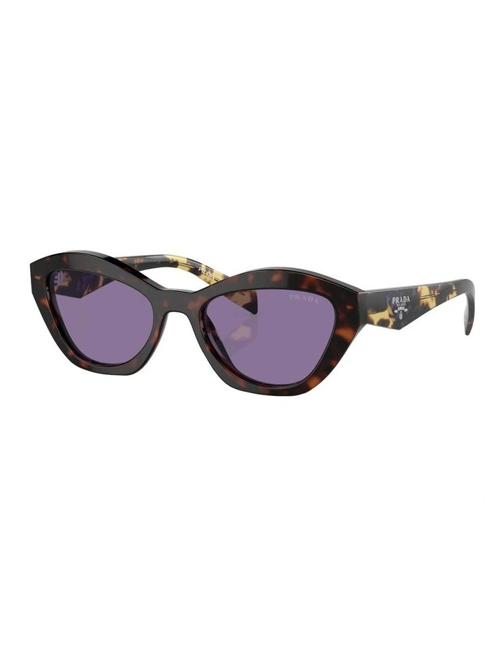 PR A02S Sunglasses in Tortoise